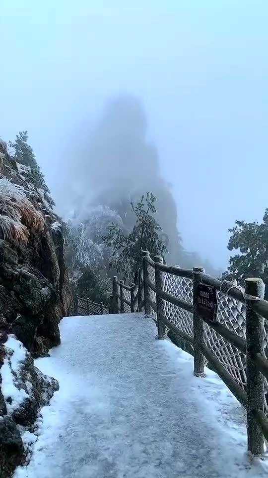 央视春晚各会场首次合练,四地分会场各具特色,现场现龙帽萌娃